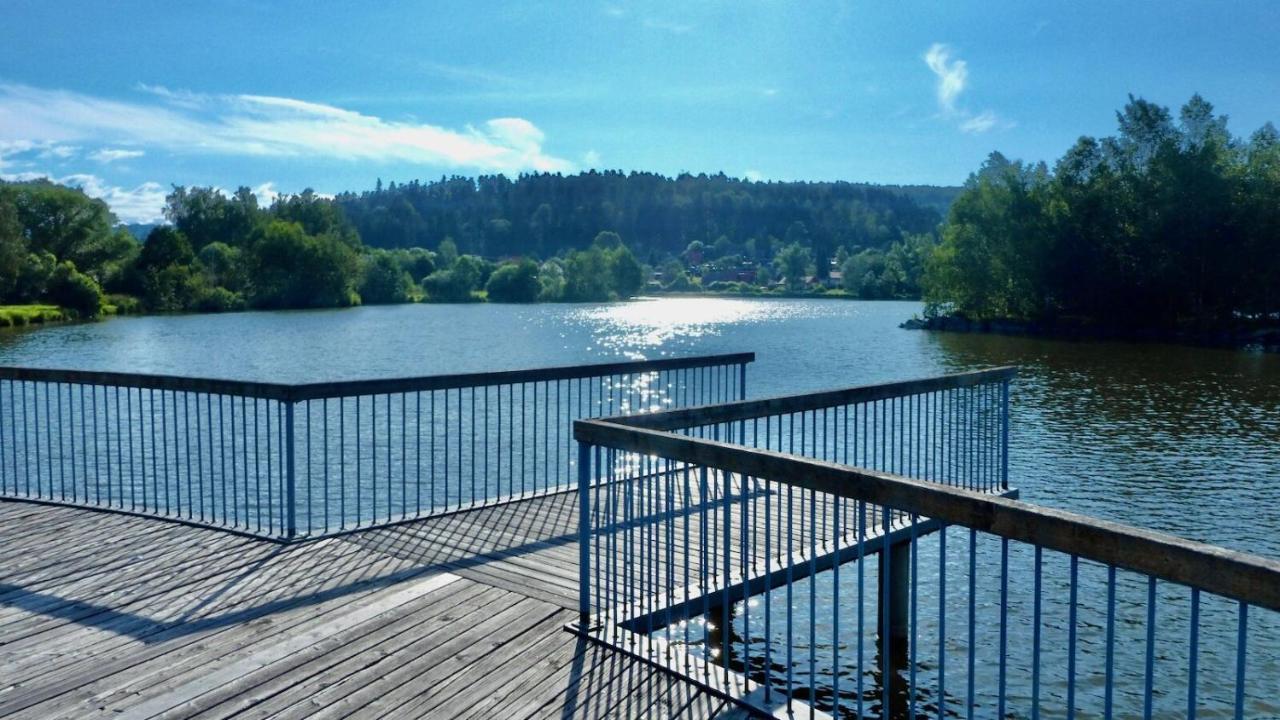 Ferienhaus Bayerwald Am Erlauzwieseler See Вальдкірхен Екстер'єр фото